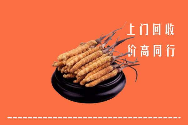 高价求购：宜春上高县回收散虫草