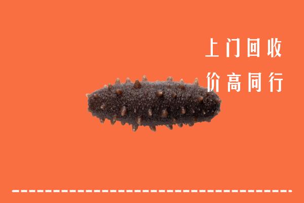 高价求购：宜春上高县回收海参