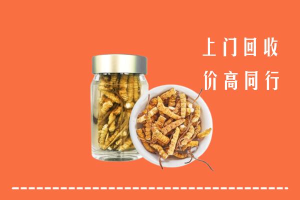 宜春上高县回收冬虫夏草
