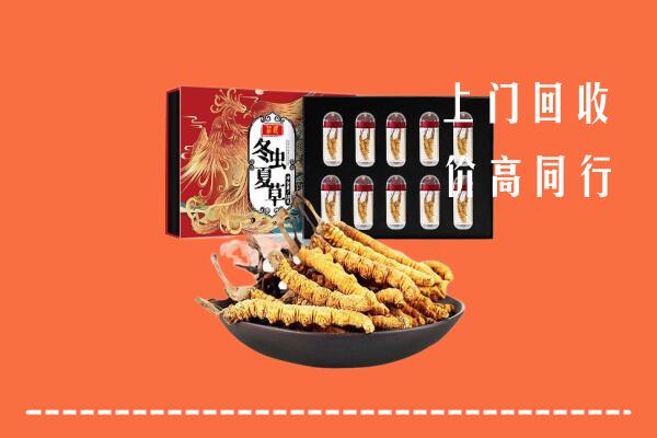 宜春上高县回收虫草